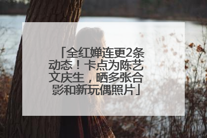 全红婵连更2条动态！卡点为陈艺文庆生，晒多张合影和新玩偶照片